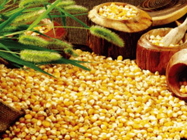 Corn Starch Processing Enzyme